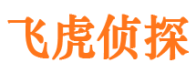 临安婚外情调查